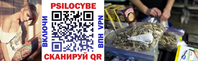 дарнет шоп  Стрежевой  Псилоцибиновые грибы мицелий 