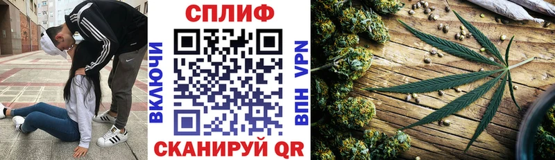 Каннабис сатива  Стрежевой 